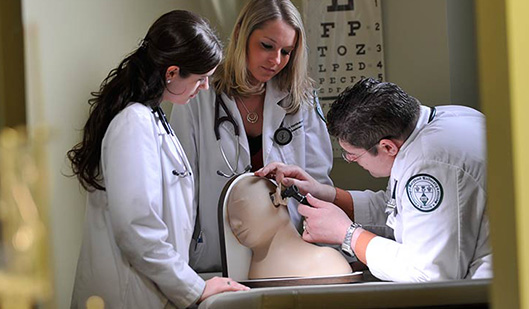 Student doctors examining patient