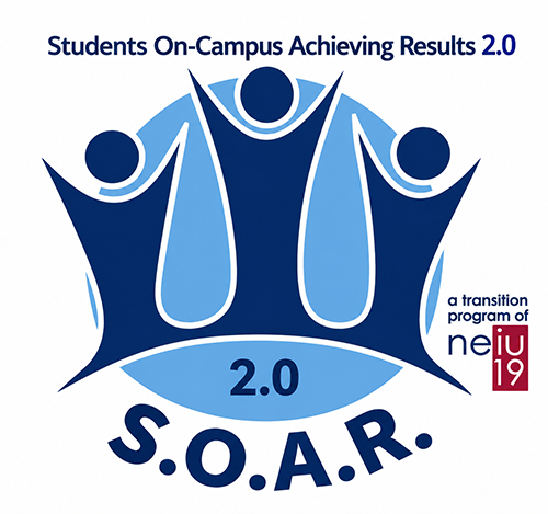 The soar 2.0 logo