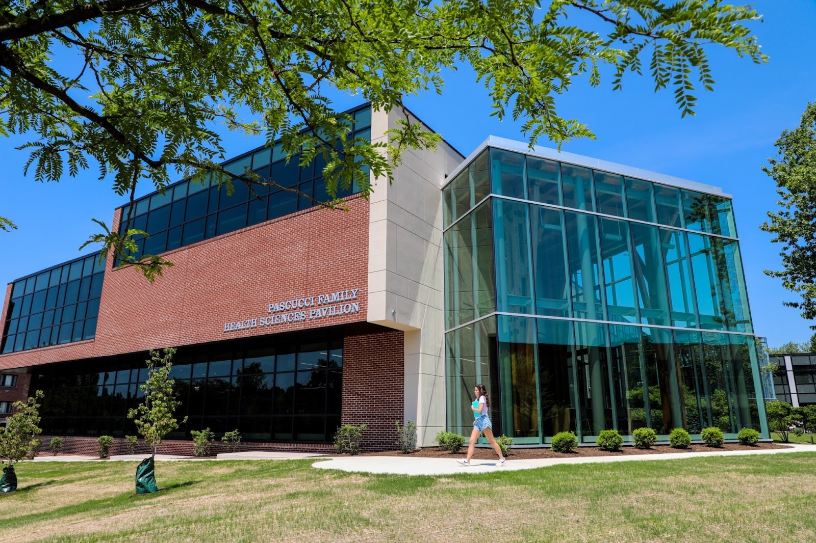 2023-2024 | Marywood University