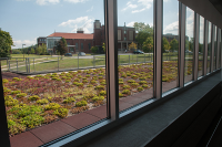 A view of the plant-life of Marywood's green roof through windows in the Architecture building