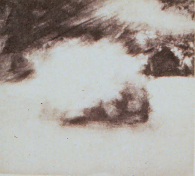 $exhibit.imageAltText