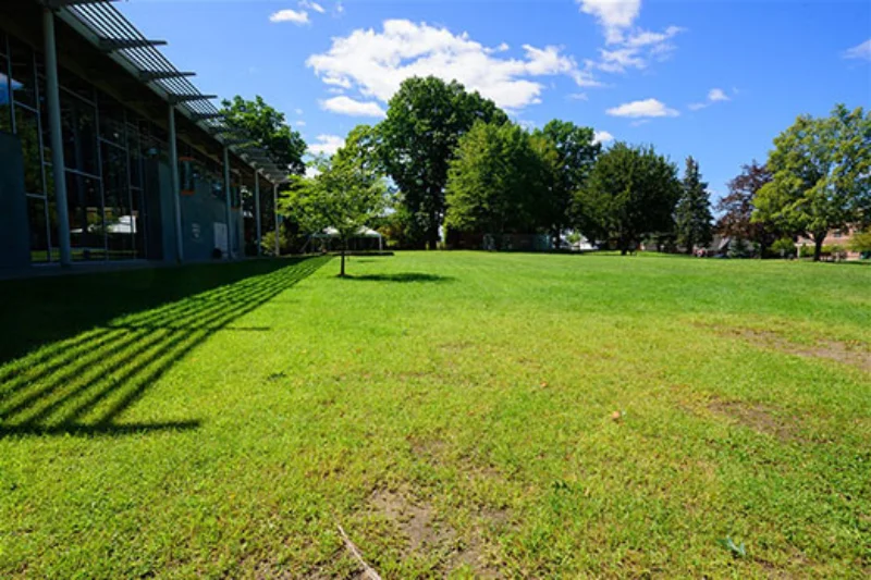 An open grass field next to the Studio Arts Center