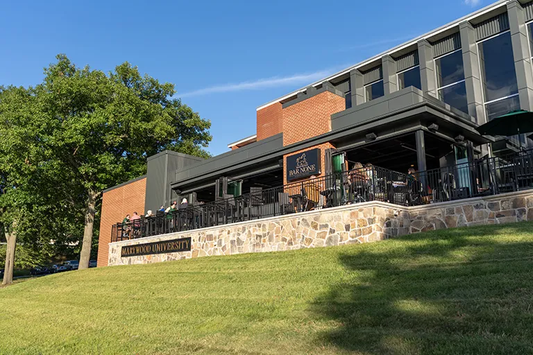 blue sky with green grass and a building with bar none written on it