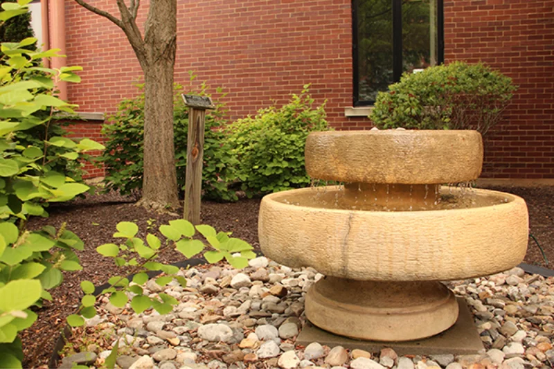 A fountain surrounded by plant-life