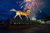 brass horse statue at night illuminated by fireworks Celebrate Marywood Event Raises More than $466,000