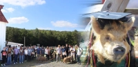 Marywood University interior architecture students at Arthur's Acres Animal Sanctuary with their mascot, Mikey the Pig. Interior Architecture Students Enhancing Animal Sanctuary's Facilities