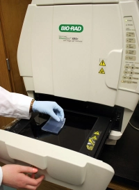 Gel & Blot Imaging System.jpg