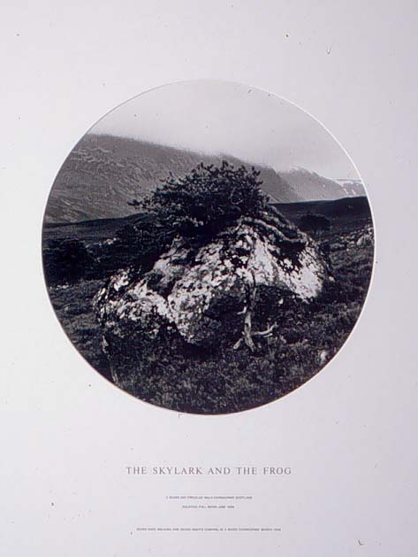 $exhibit.imageAltText