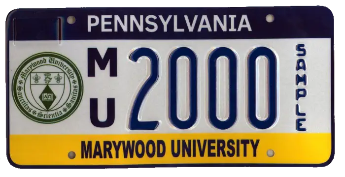 License-plate.png