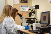 Dr. Lisa Antoniacci, associate professor of science, oversees the work of Megan Hedgelon, who graduated from Marywood’s five-year B.S. to M.S. Biotechnology program in 2022. Marywood University Launches Completely Online Biotech Master’s Program