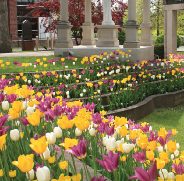 tulips in front of Shields Visual Arts Center at Marywood University Easter Blessings