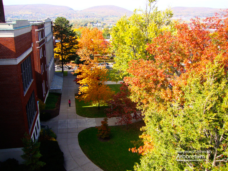 View-of-fall-colors-800.jpg