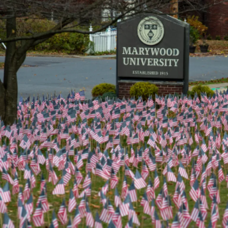 Flags for the Fallen at Marywood University