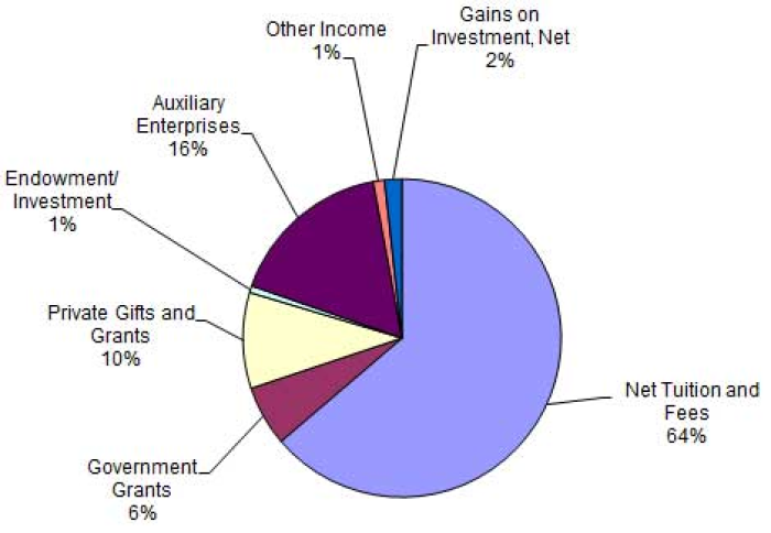 Pie chart displaying the percentage of various sources of revenue.