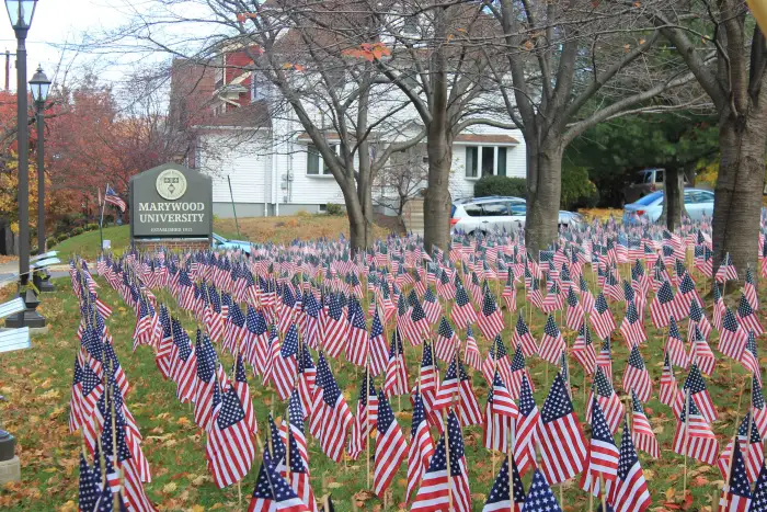 Many small American flags placed in the ground by a Marywood university sign