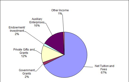 Pie chart displaying the percentage of various sources of revenue