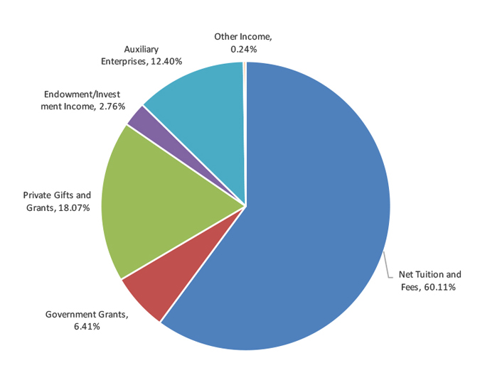 a pie chart displaying percentages of various revenues and other additions
